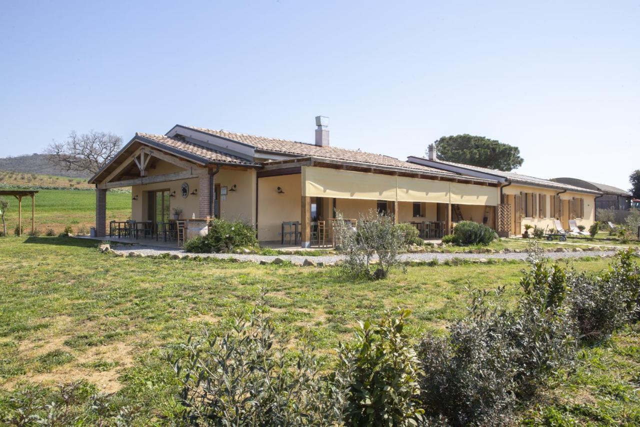 Agriturismo Casa Ricci Magliano in Toscana Exterior photo
