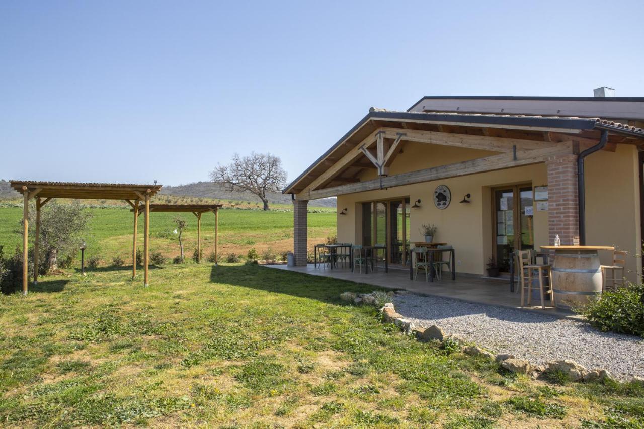 Agriturismo Casa Ricci Magliano in Toscana Exterior photo
